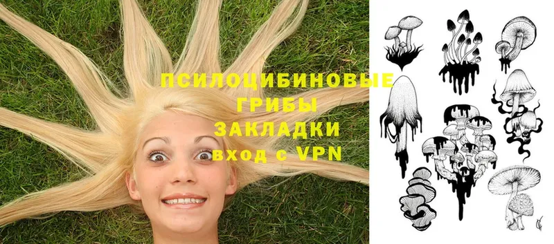 omg как зайти  Сим  Псилоцибиновые грибы Psilocybe 